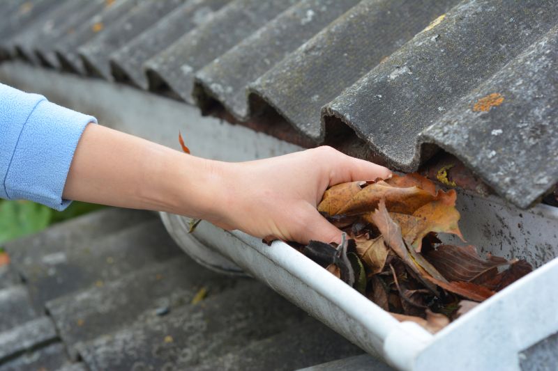 Gutter Debris Removal