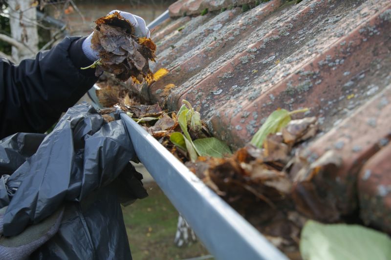 Gutter Cleaning Professionals